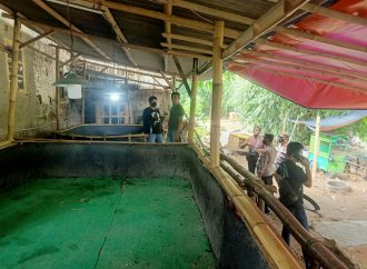 Polresta Cirebon Respon Cepat Laporan Sabung Ayam di Jamblang