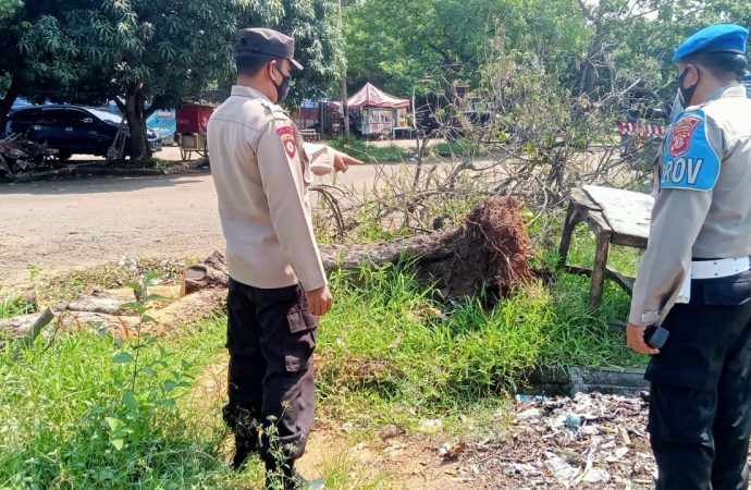 Pohon Tumbang di Lapangan Bima, Berhasil di Evakuasi Personil Polsek Kesambi Polres Ciko