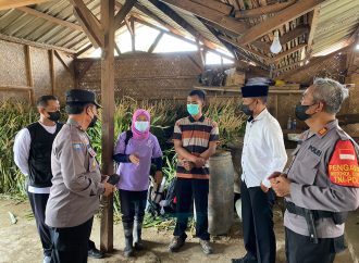 Antisipasi Wabah PMK, Polresta Cirebon bersama Puskeswan Ciledug Sidak Peternakan