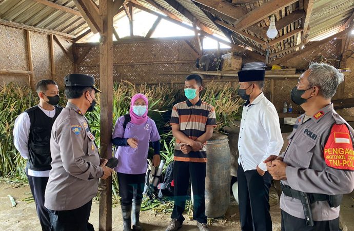 Antisipasi Wabah PMK, Polresta Cirebon bersama Puskeswan Ciledug Sidak Peternakan