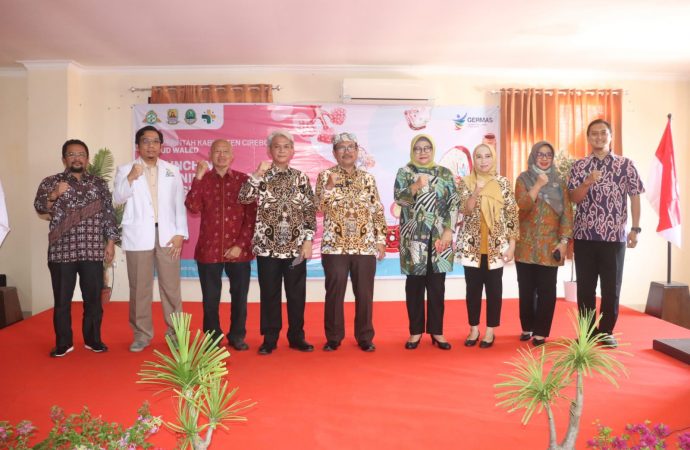 Launching Pelayanan, Bupati Cirebon Sebut RSUD Waled Terus Berinovasi