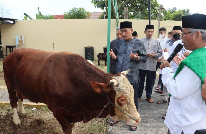Polresta Cirebon Distribusikan Puluhan Hewan Kurban ke Sejumlah Pondok Pesantren