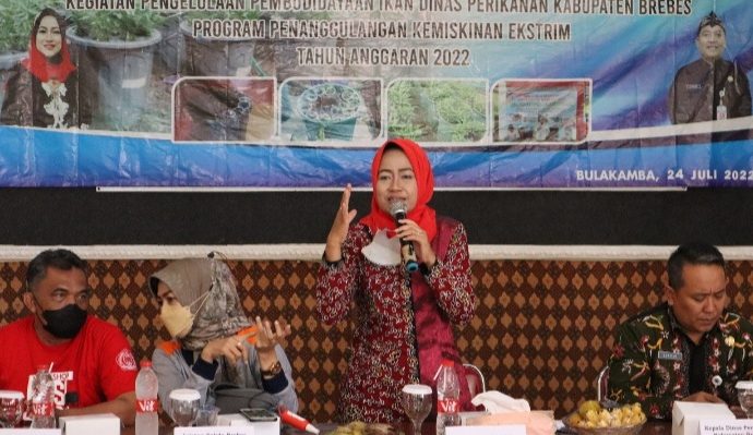 Tak Punya Pekarangan, Dalam Ember Pun Bisa Budidaya Lele