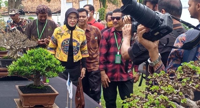 Wabup Ayu Terpukau Lihat Tanaman Senilai Empat Ratus Juta di Kontes Bonsai Palimanan