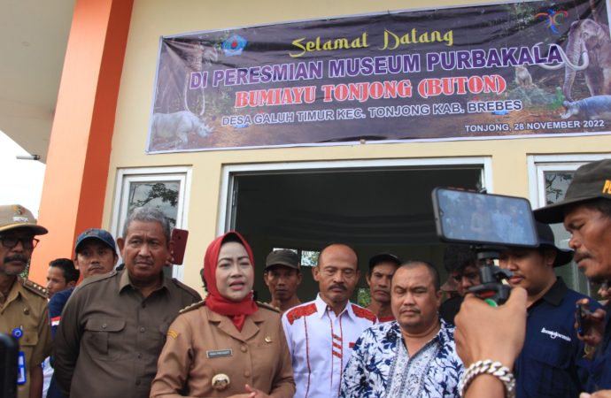Amankan Fosil Berusia Lebih Dari 1,8 Juta, Pemkab Brebes Bangun Museum Buton