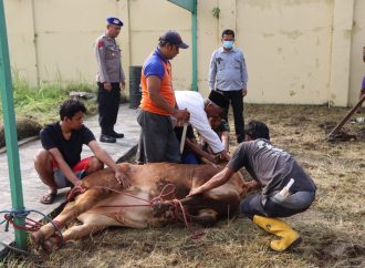 Polresta Cirebon Laksanakan Penyembelihan Hewan (Istigosah) Dalam Rangka Pengamanan Nataru