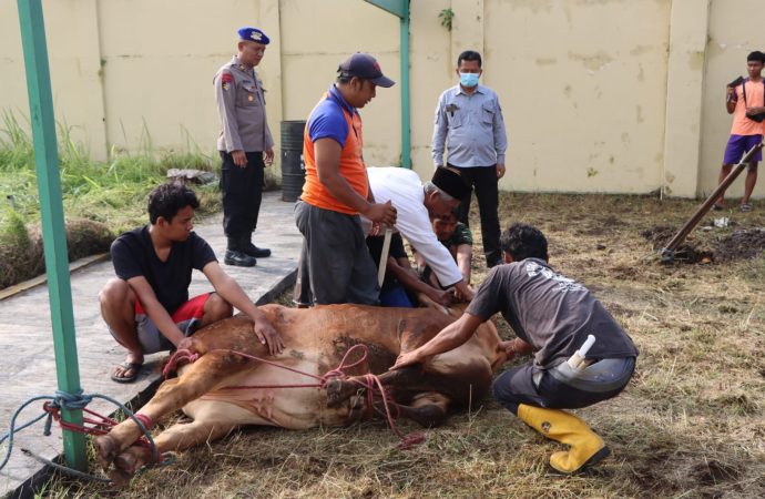Polresta Cirebon Laksanakan Penyembelihan Hewan (Istigosah) Dalam Rangka Pengamanan Nataru