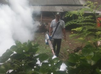 Cegah DBD, Kelinik Al Fadillah Ciheras Cipatujah Fogging lingkungan