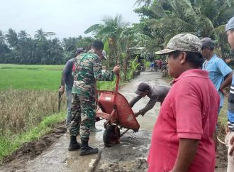 Babinsa 1225 Cipatujah Bersama Warga Ciheras Gotong Royong Timbun Jalan Berlubang