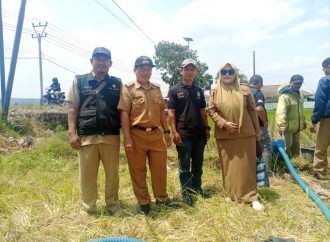 Tanggap Darurat Produksi Padi di Poktan Sinar Fajar Desa Jatimulya