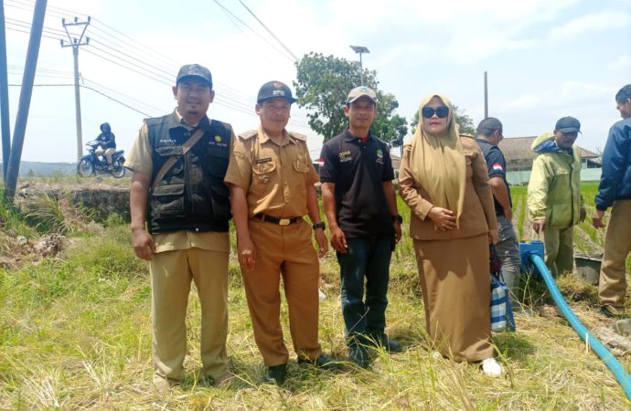 Tanggap Darurat Produksi Padi di Poktan Sinar Fajar Desa Jatimulya