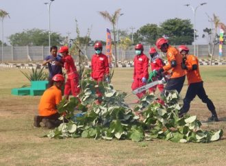 Seorang Korban Tertimpa Pohon Di KPT