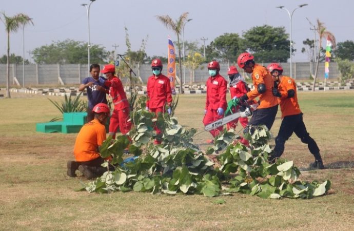 Seorang Korban Tertimpa Pohon Di KPT