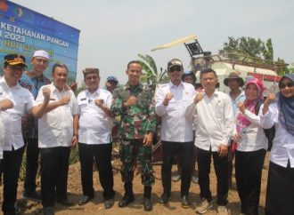 Gerakan Nasional Ketahanan Pangan 2023, Bupati Imron Pastikan Pasokan Air Cukup untuk Sektor Pertanian