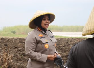 Polresta Cirebon Laksanakan Program Ketahanan Pangan, Penanaman Bibit Jagung