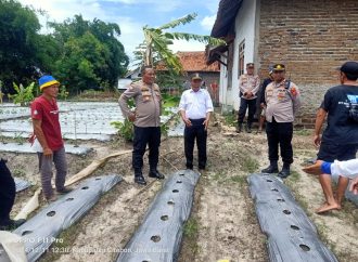 Dukung Pogram Asta Cita Presiden Prabowo, Distan Kab.Cirebon Gelar Demplot