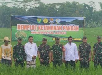 Babinsa Matangaji Laksanakan Pendampingan Pertanian