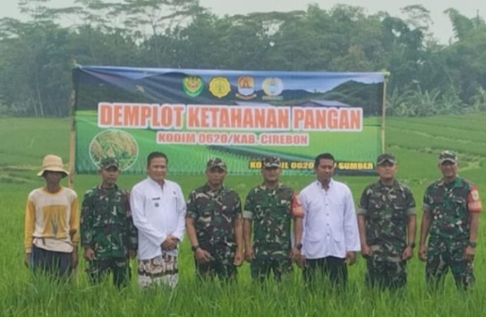 Babinsa Matangaji Laksanakan Pendampingan Pertanian