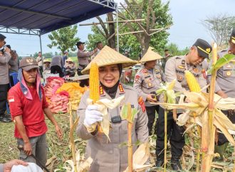 Dukung Program Asta Cita, Polresta Cirebon Gelar Panen Raya Jagung