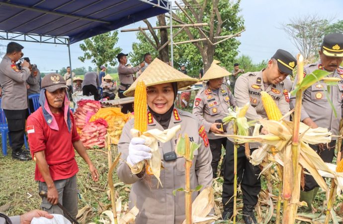 Dukung Program Asta Cita, Polresta Cirebon Gelar Panen Raya Jagung