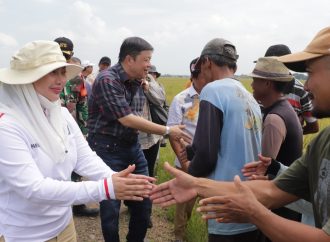 Tarik Investor, Wakil Ketua Komisi IV DPR RI Kunjungi Brebes
