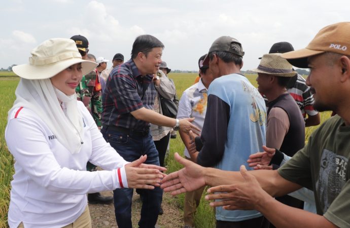 Tarik Investor, Wakil Ketua Komisi IV DPR RI Kunjungi Brebes