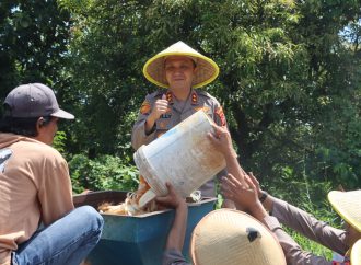 Polres Majalengka Gelar Panen Raya Jagung Serentak, Dukung Ketahanan Pangan Nasional