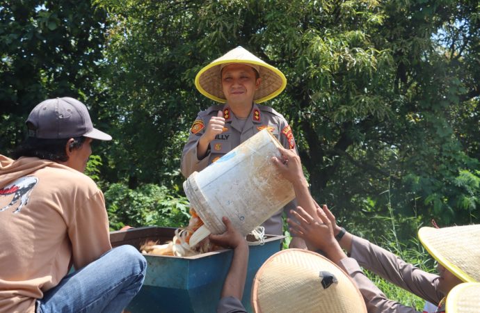 Polres Majalengka Gelar Panen Raya Jagung Serentak, Dukung Ketahanan Pangan Nasional