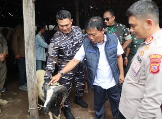 Wali Kota Pastikan Hewan Kurban Aman dan Sehat Jelang Iduladha