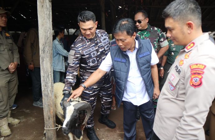 Wali Kota Pastikan Hewan Kurban Aman dan Sehat Jelang Iduladha