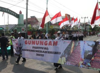 Meriah, 30 Gunungan Bawang Merah Jadi Rebutan