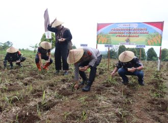 Polres Kuningan Tanam Jagung Serentak di 27 Lokasi Capai 22 Ha