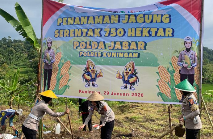 Tak Hanya Atur Lalu Lintas, Polantas Polres Kuningan Turun ke Sawah Tanam Jagung