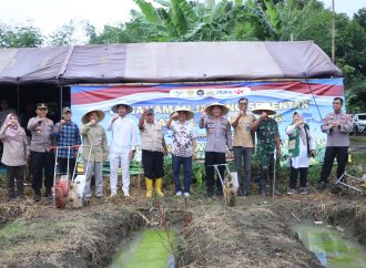 Kolaborasi Pemkab dan Polres Brebes untuk Asta Cita, Tanam Jagung di Wangundalem