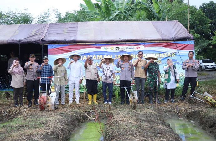 Kolaborasi Pemkab dan Polres Brebes untuk Asta Cita, Tanam Jagung di Wangundalem
