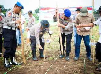 Dukung Program Swasembada Pangan Nasional, Polresta Cirebon Tanam Jagung Serentak