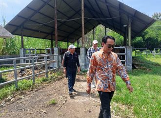 DPRD Cirebon Tinjau Aset Sapi, Soroti Pengelolaan Tak Maksimal