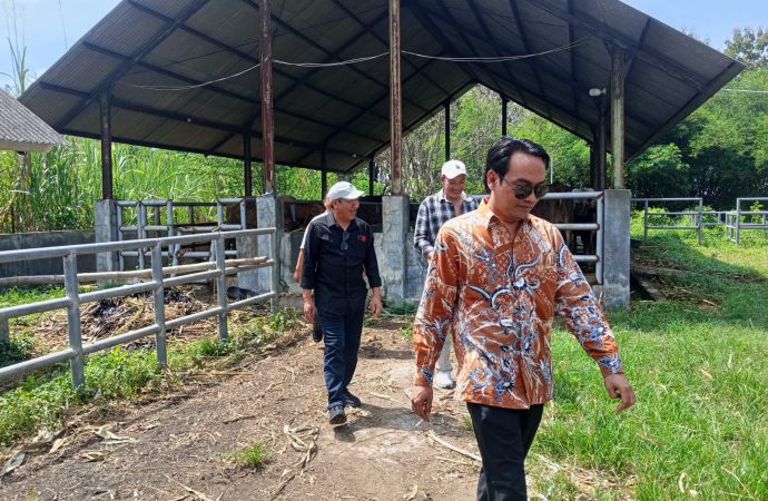 DPRD Cirebon Tinjau Aset Sapi, Soroti Pengelolaan Tak Maksimal