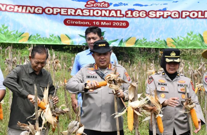 Polresta Cirebon Panen Raya Jagung Serentak Bersama Presiden dan Kapolri