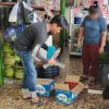 Polresta Cirebon Sita 237 Botol Miras Hasil Razia Pekat