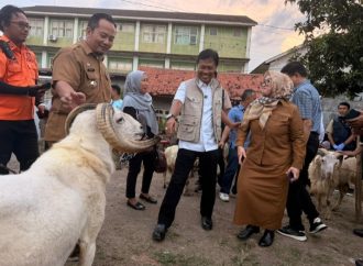 Walikota Cirebon Pastikan Kelayakan Hewan Kurban di 5 Titik  Kota