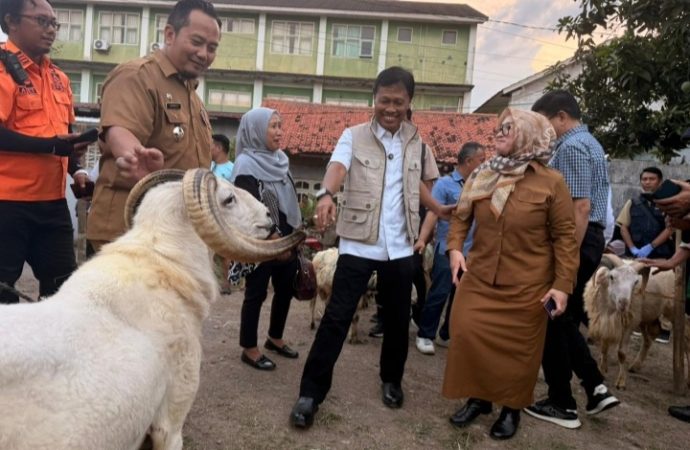 Walikota Cirebon Pastikan Kelayakan Hewan Kurban di 5 Titik  Kota