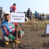 Randusanga Kulon Tanam 3.700 Mangrove Lawan Abrasi