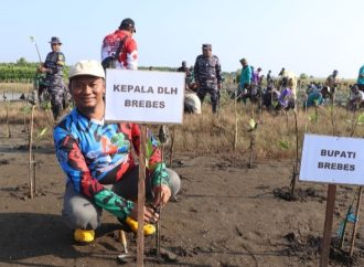 Randusanga Kulon Tanam 3.700 Mangrove Lawan Abrasi