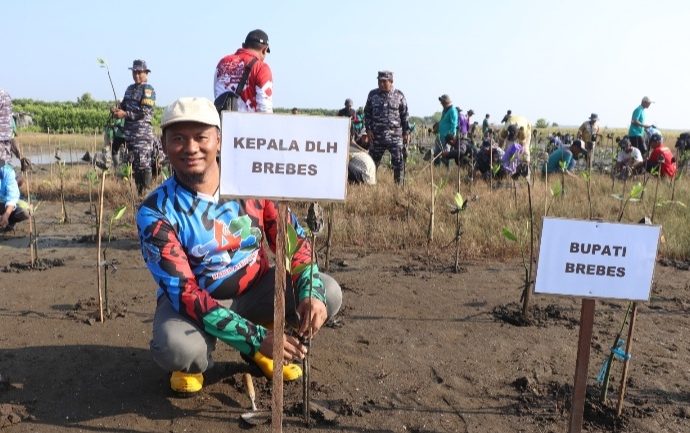 Randusanga Kulon Tanam 3.700 Mangrove Lawan Abrasi
