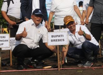 Mentri LH du Brebes, Kolaborasi Tanam Mangrove Lawan Abrasi