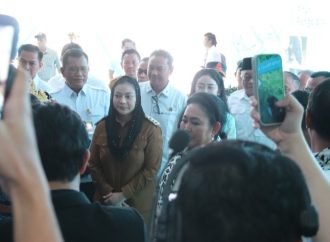 Peternakan Sapi Perah Terbesar Dibangun di Brebes 