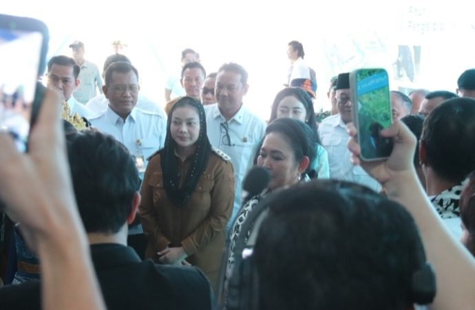 Peternakan Sapi Perah Terbesar Dibangun di Brebes