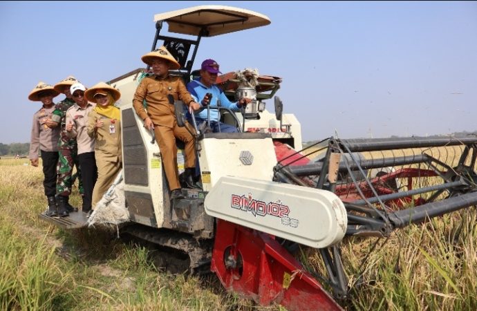 Petani Losari Berdaya Saing Berkat Kolaborasi I Care