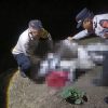 Polres Cirebon Kota dan Polsek Kapetakan Evakuasi Jenazah di Sungai Suranenggala